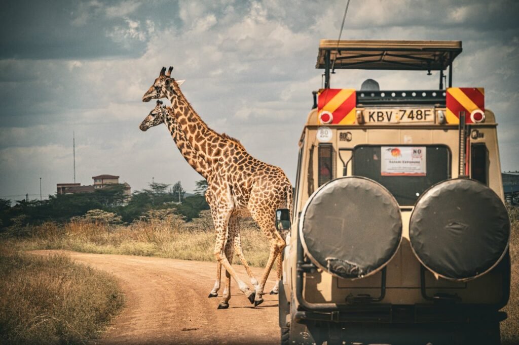 africa safari flighthotel cargo